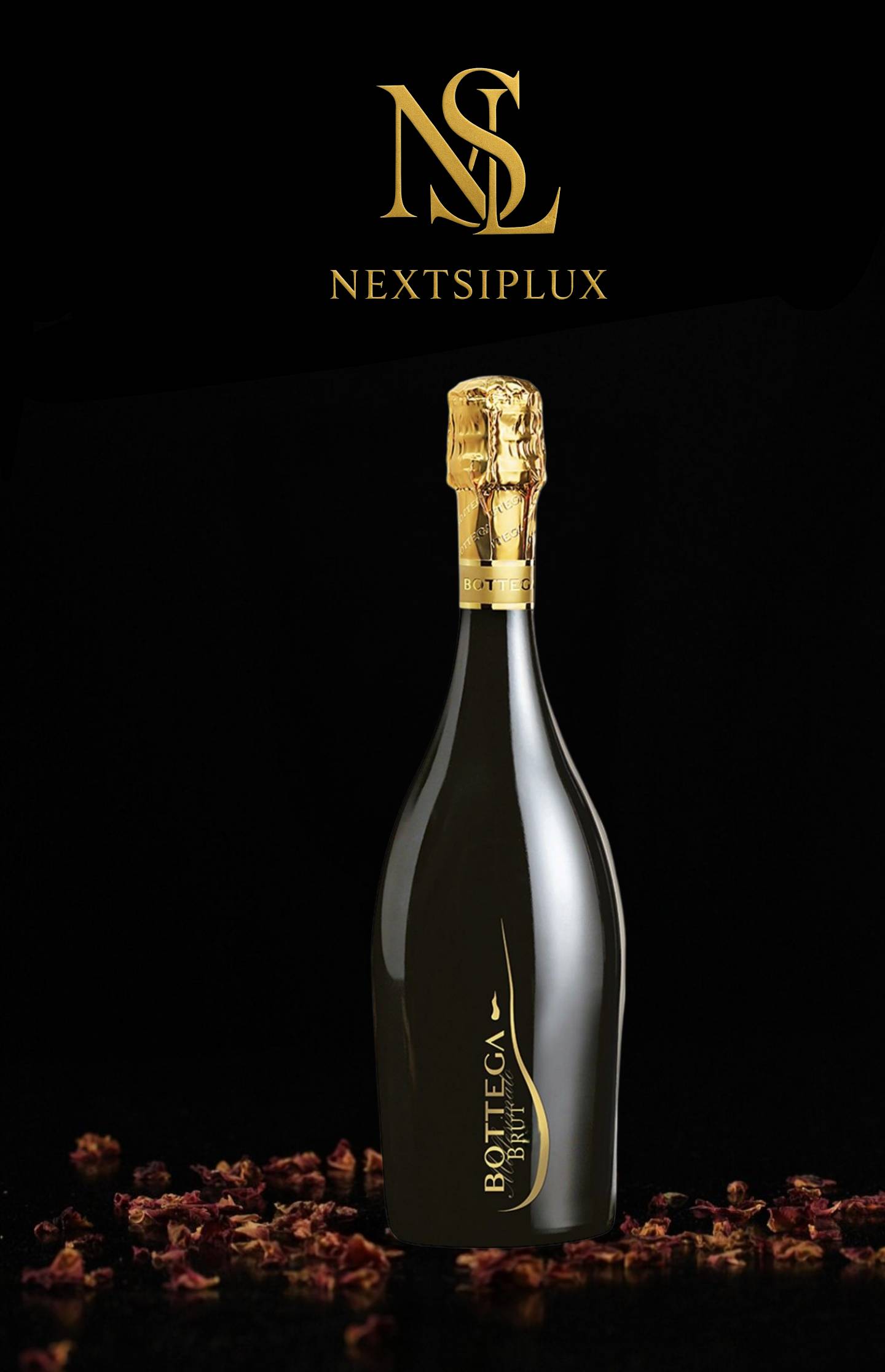 Bottega Spumante Brut Millesimato 0.75L