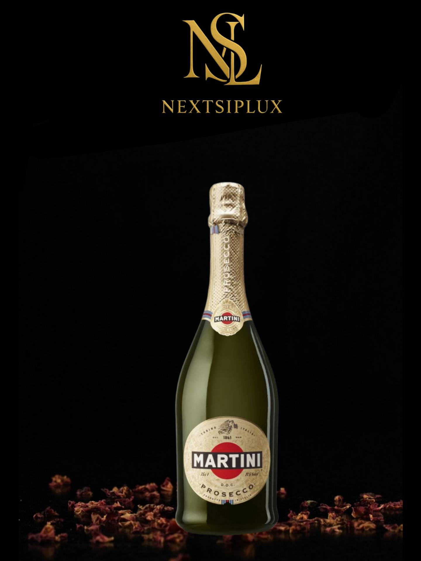 Martini Prosecco 0.75L