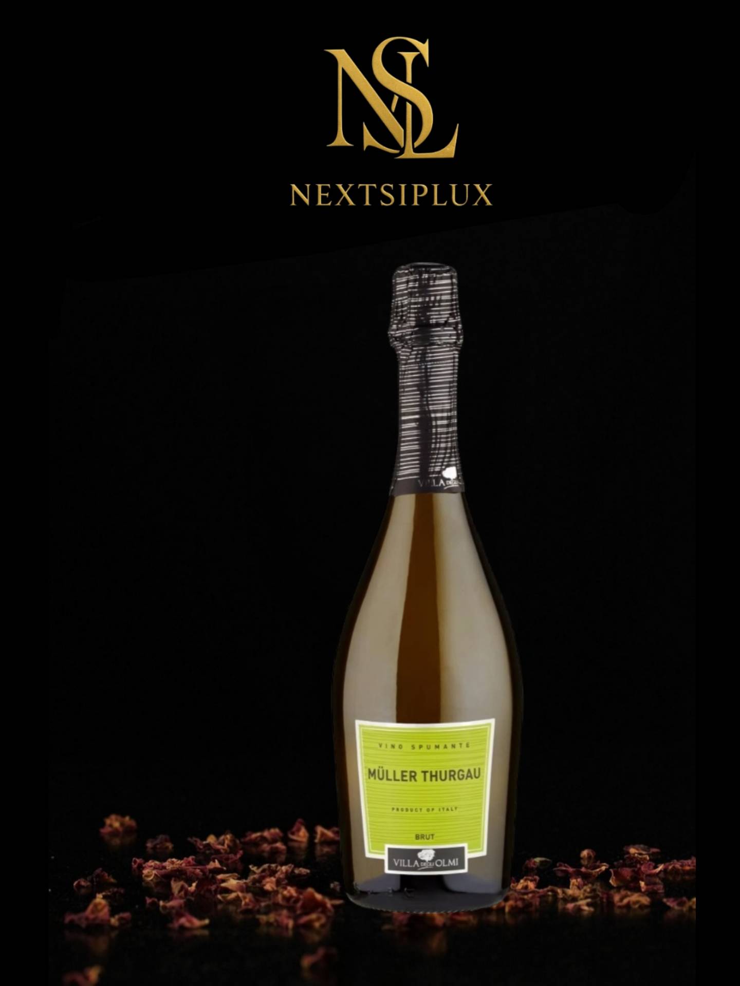 Villa degli Olmi Muller Thurgau Brut Vino Spupante 0.75L